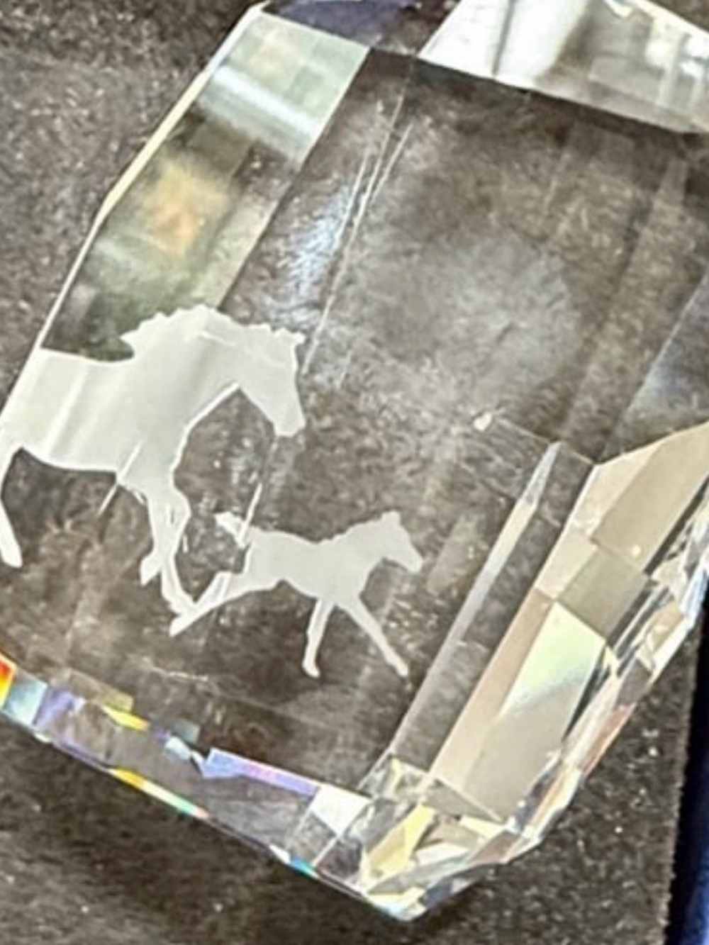Swarovski Esperanza SCS Crystal Horse Etching Paper Weight 9100